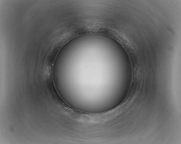 X0000112350033200908131438