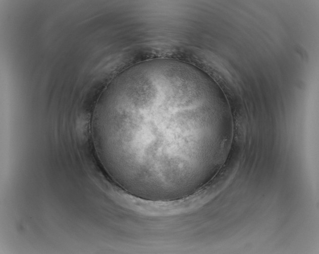 X0000112350034200908131438