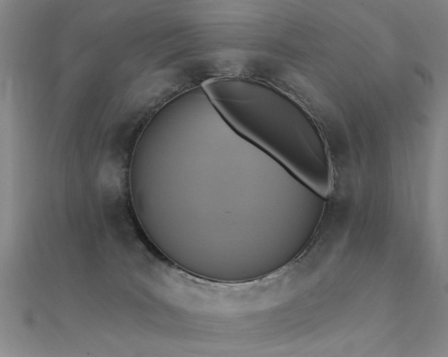 X0000112350035200908131438