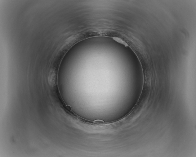 X0000112350036200908131438