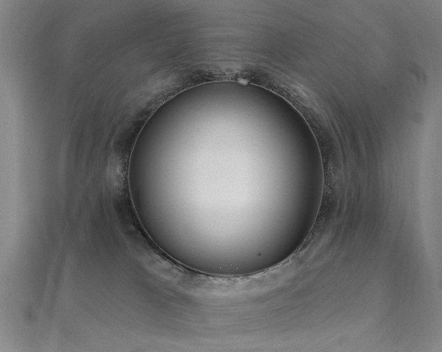 X0000112350037200908131437
