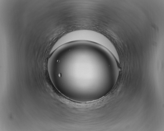 X0000112350039200908131437