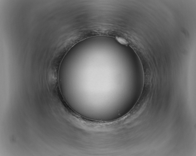 X0000112350040200908131437