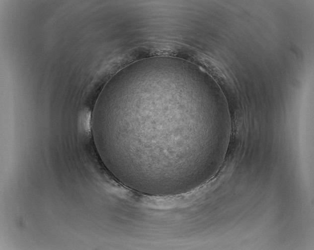 X0000112350041200908131437