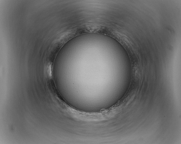 X0000112350042200908131437