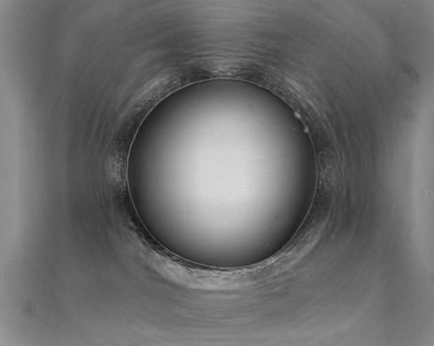 X0000112350044200908131437