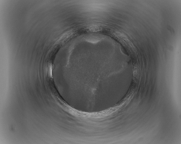 X0000112350046200908131437