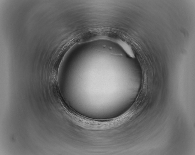 X0000112350048200908131437
