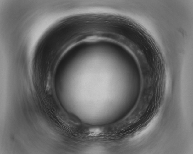 X0000112350050200908131437