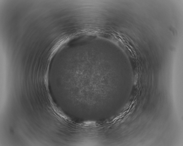 X0000112350052200908131437