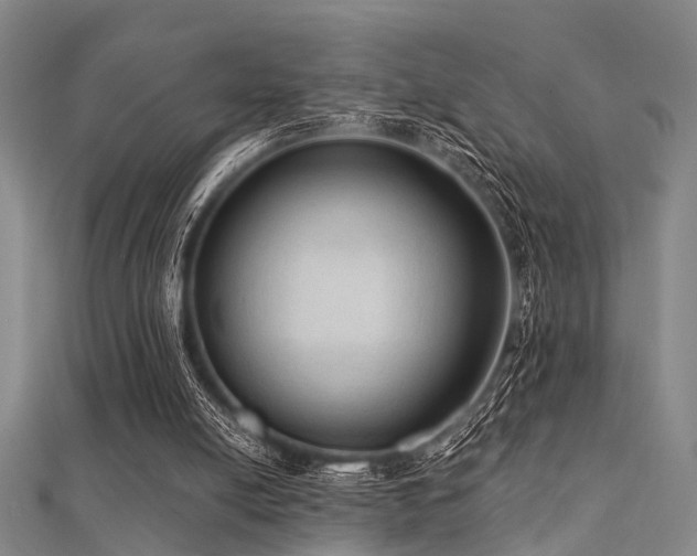 X0000112350054200908131437