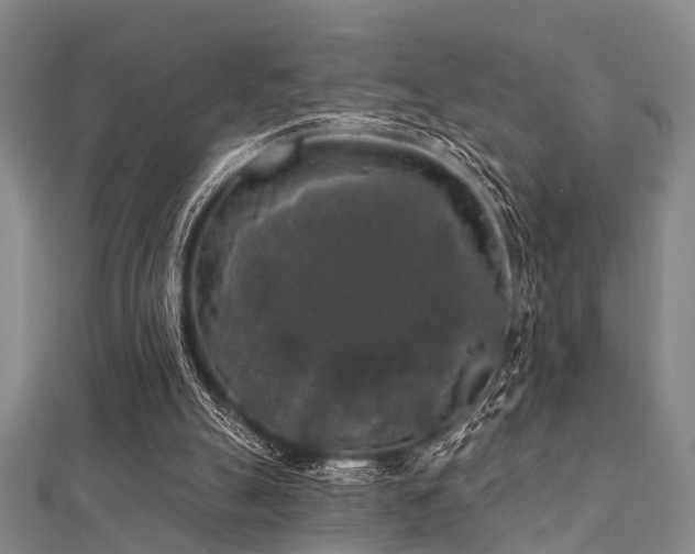 X0000112350055200908131437