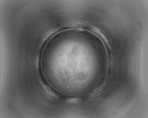 X0000112350058200908131437