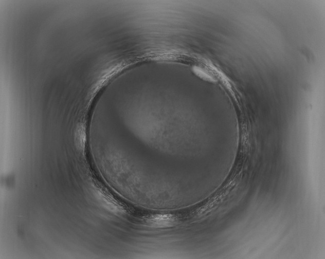 X0000112350059200908131437
