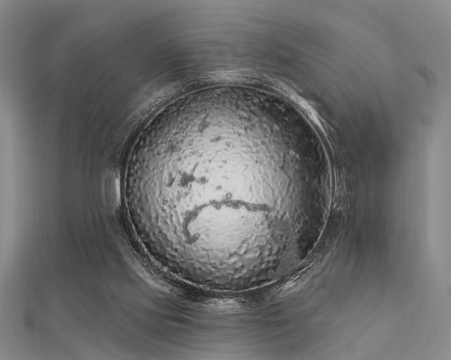 X0000112350061200908131437