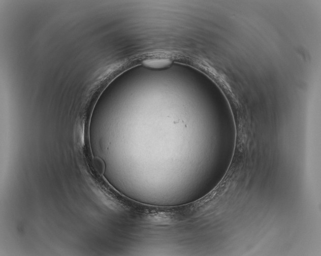 X0000112350062200908131437