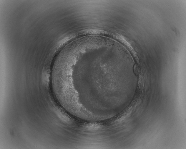 X0000112350063200908131437