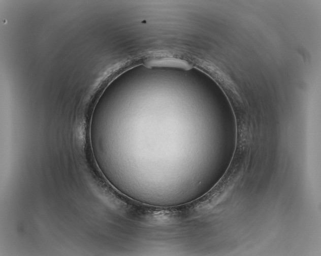 X0000112350064200908131437