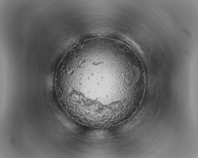 X0000112350065200908131437