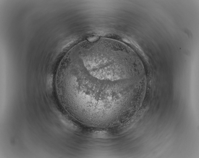 X0000112350066200908131437