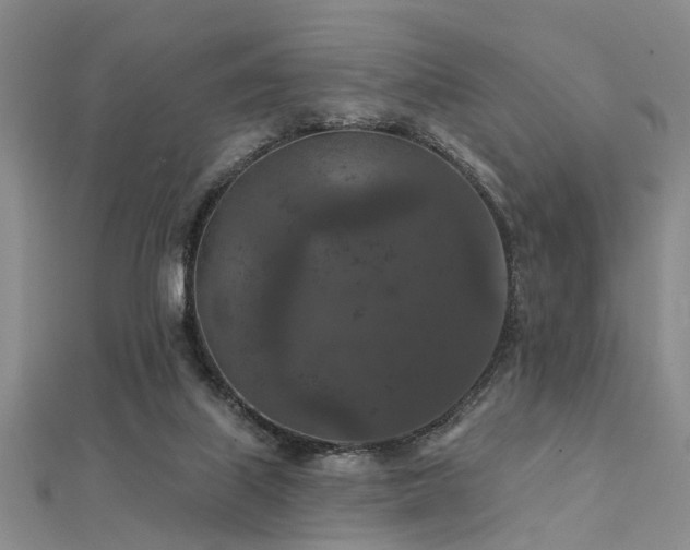 X0000112350067200908131437