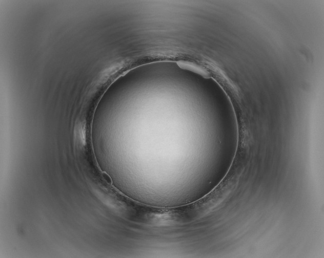 X0000112350068200908131437