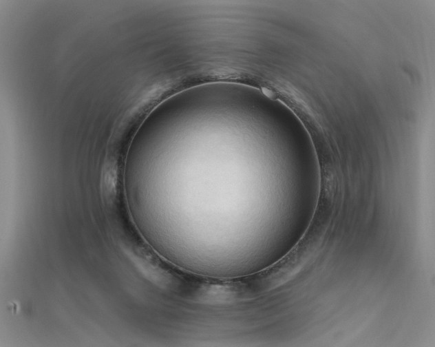 X0000112350072200908131437