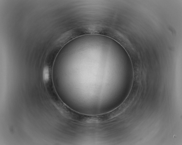 X0000112350075200908131437