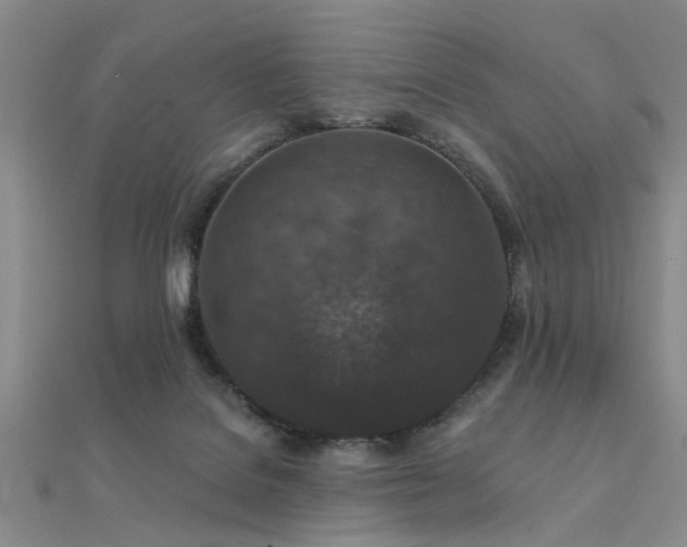 X0000112350076200908131437