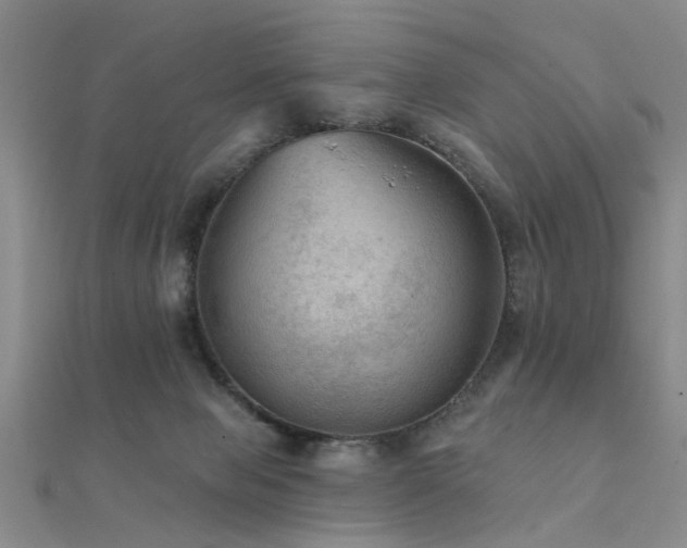 X0000112350077200908131437