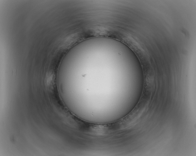 X0000112350079200908131437