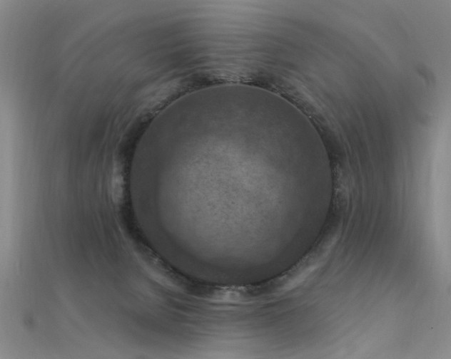 X0000112350080200908131437
