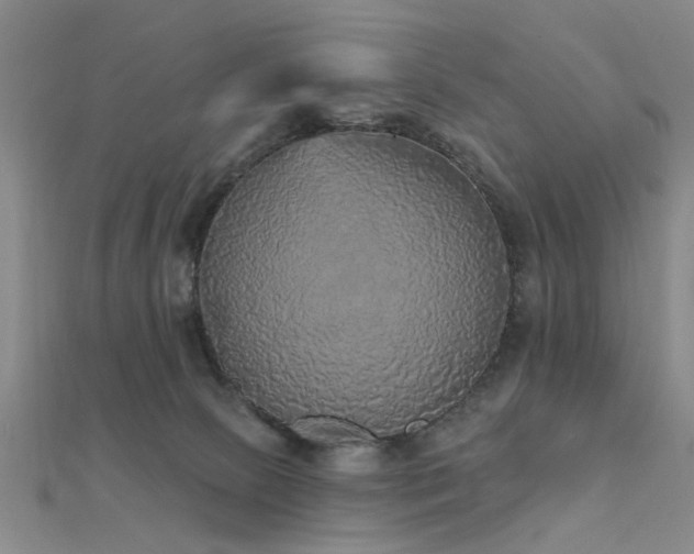 X0000112350081200908131437