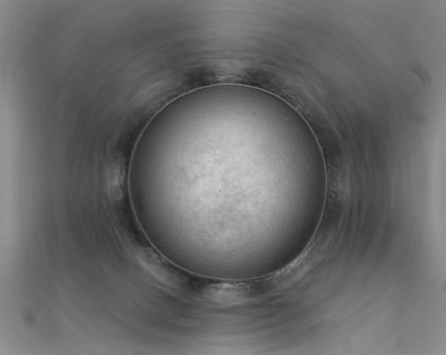 X0000112350082200908131437