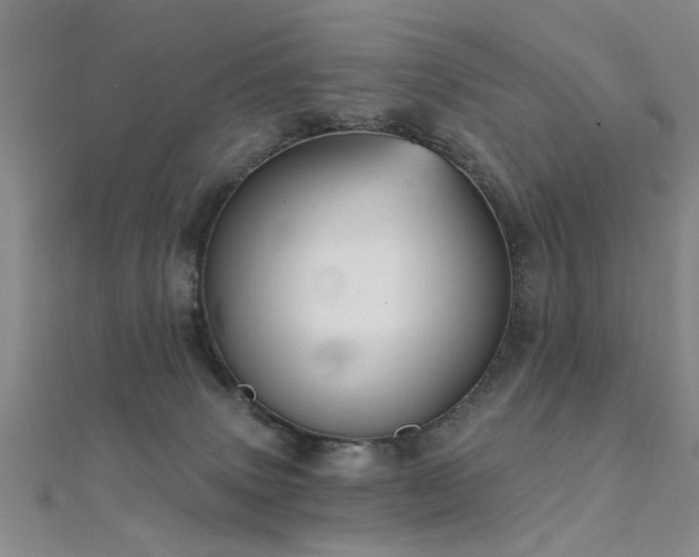 X0000112350083200908131437