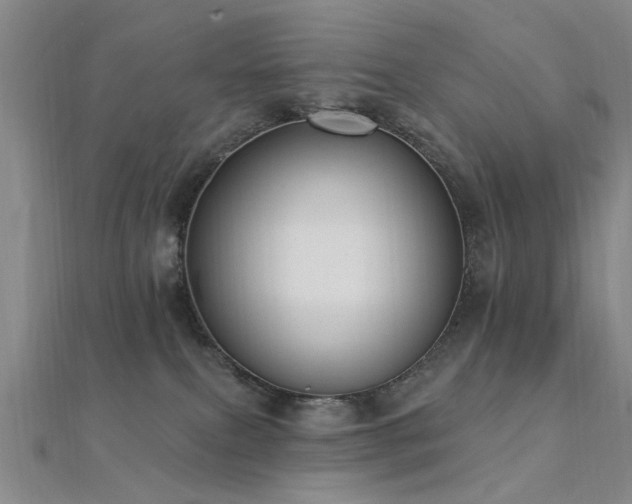 X0000112350087200908131437