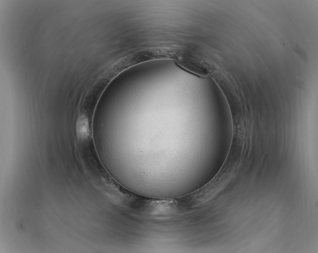X0000112350089200908131437
