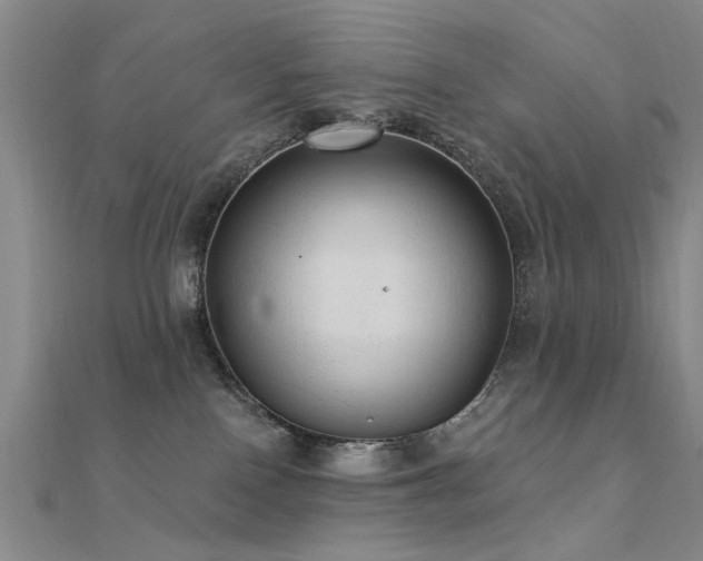 X0000112350090200908131437