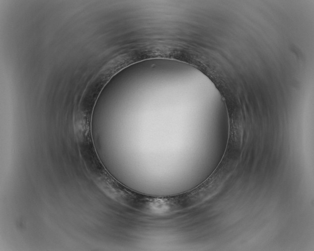 X0000112350091200908131437