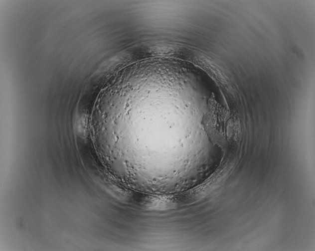X0000112350093200908131437