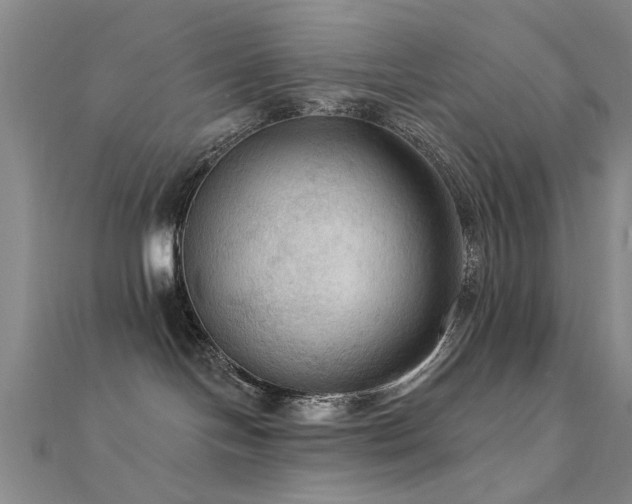 X0000112350094200908131437