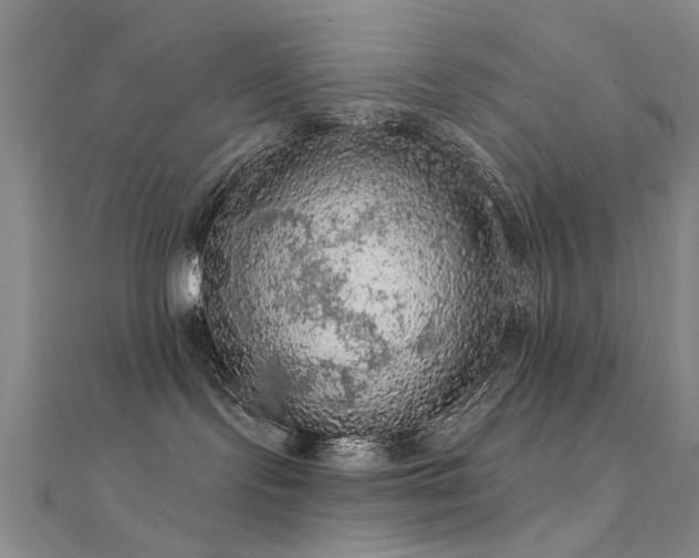 X0000112350095200908131437