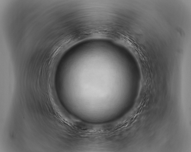 X0000112350097200908131437