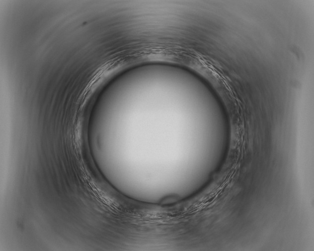 X0000112350098200908131437