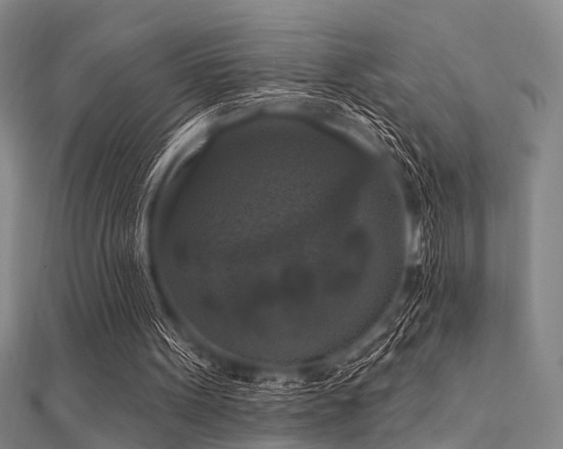 X0000112350099200908131437