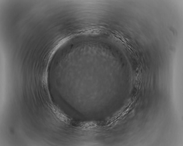 X0000112350100200908131437