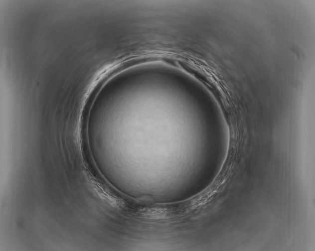 X0000112350104200908131436