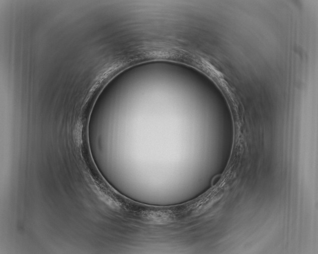 X0000112350106200908131436