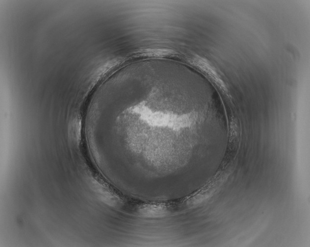 X0000112350110200908131436