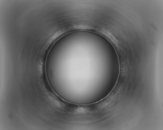 X0000112350111200908131436